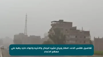 تفاصيل طقس الأحد: أمطار ورياح مثيرة للرمال والأتربة وأجواء حارة رطبة على معظم الأنحاء